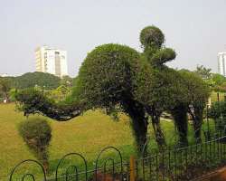 You can see a number of hedges carved into the shape of animals inside these gardens.